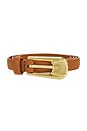 view 3 of 3 The Carini Belt in Desert