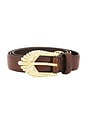 view 3 of 3 The Zolna Belt in Cocoa