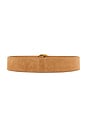 view 2 of 3 CEINTURE SALERNO in Cashew