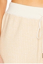 view 6 of 6 The Tawny Knit Pants in Pebble