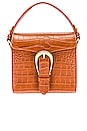 view 1 of 5 The Madelina Bag in Cognac