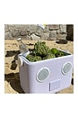 view 8 of 8 Beach Cooler Box Sounds Speaker in Rio Sun Pastel Lilac Cream