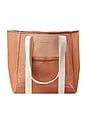 view 1 of 3 Mesh Beach Bag in Tierra Clay