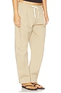 view 2 of 6 The Everywhere Pant in Fawn