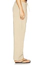 view 3 of 6 The Everywhere Pant in Fawn