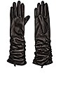 view 1 of 1 Joline Gloves in Black
