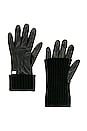 view 1 of 2 Carmel Gloves in Black
