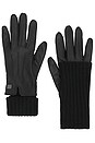 view 1 of 2 Carmel Gloves in Black