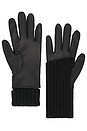 view 2 of 2 Carmel Gloves in Black