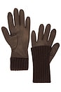 view 2 of 2 Carmel Gloves in Espresso