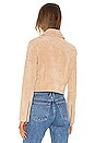 view 3 of 4 Elaine Moto Jacket in Almond