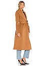 view 3 of 4 Eleonore Coat in Camel