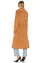 view 4 of 4 Eleonore Coat in Camel