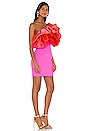 view 2 of 3 Finley Mini Dress in Hot Pink & Blood Orange Ombre