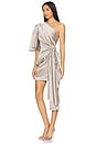 view 3 of 4 Marcie Mini Dress in Pewter