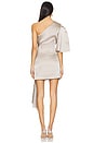 view 4 of 4 Marcie Mini Dress in Pewter