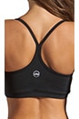 view 2 of 3 Eclon Basics Sports Bra in Black