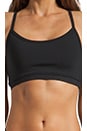view 3 of 3 Eclon Basics Sports Bra in Black