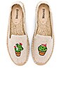view 1 of 5 Cactus Platform in Sand