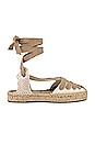 view 1 of 5 ALPARGATA LUELLA LACE-UP in Ivory
