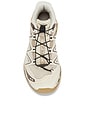 view 4 of 6 XT-Quest Sneaker in Almond Milk, Falcon & White Pep