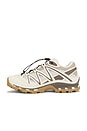 view 5 of 6 XT-Quest Sneaker in Almond Milk, Falcon & White Pep