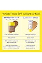 view 9 of 11 Protec(tint) Daily Skin Tint SPF 50 in 40W