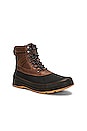 view 2 of 5 Ankeny Ii Boot in Tobacco & Black