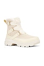 view 2 of 5 BOTTINES TIVOLI in Honey White & Chalk