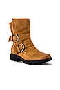 view 2 of 5 Phoenix Moto Cozy Bootie in Camel Brown