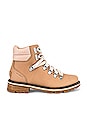 sorel lennox honest beige