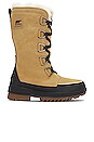 view 1 of 5 Tivoli IV Tall Boot in Curry