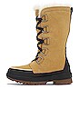 view 5 of 5 Tivoli IV Tall Boot in Curry