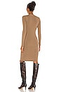 view 3 of 4 Duffy Cardigan Dress in Walnut
