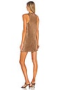 view 3 of 3 Pluto Mini Dress in Brown