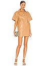 view 1 of 3 Stella Dress in Brown