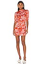 view 1 of 3 Edison Mini Dress in Red Dahlia