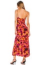 view 4 of 4 Winifred Maxi Dress in Sunburst Multi