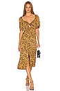view 2 of 4 Everly Midi Dress in Tiger Multi