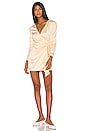 view 4 of 4 Dala Mini Dress in Cream