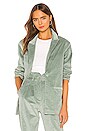 view 1 of 5 Linda Coat in Seafoam Green