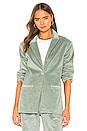 view 2 of 5 Linda Coat in Seafoam Green