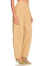 view 2 of 4 Quinn Pant in Light Brown