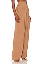 view 2 of 4 Dallon Pant in Taupe