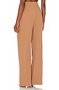 view 3 of 4 Dallon Pant in Taupe