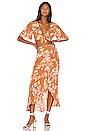 view 4 of 4 Kaia Midi Skirt in Rust Floral