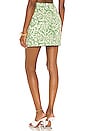 view 3 of 4 Gala Mini Skirt in Green & Ivory