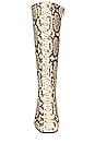 view 4 of 5 PARKER ブーツ in Natural Snake