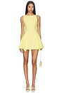 view 1 of 3 Reani Mini Dress in Primrose