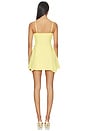 view 3 of 3 Reani Mini Dress in Primrose